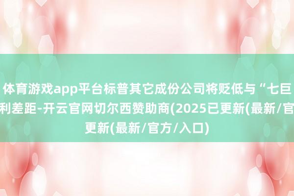体育游戏app平台标普其它成份公司将贬低与“七巨头”的盈利差距-开云官网切尔西赞助商(2025已更新(最新/官方/入口)