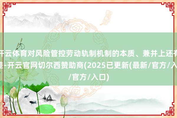 开云体育对风险管控劳动轨制机制的本质、兼并上还有偏差-开云官网切尔西赞助商(2025已更新(最新/官方/入口)