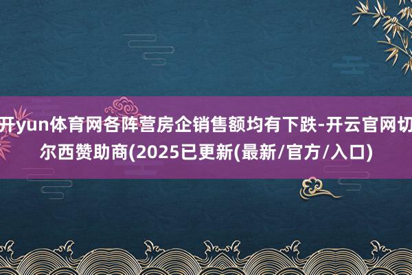 开yun体育网各阵营房企销售额均有下跌-开云官网切尔西赞助商(2025已更新(最新/官方/入口)